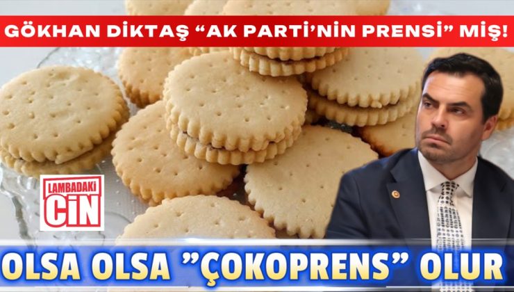 GÖKHAN DİKTAŞ “AK PARTİ’NİN PRENSİ” MİŞ!