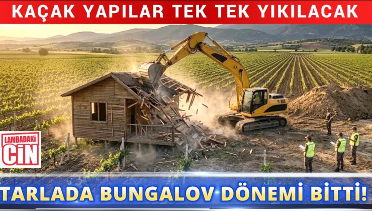 TARLADA BUNGALOV DÖNEMİ BİTTİ!