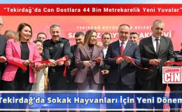 “Tekirdağ’da Sokak Hayvanları İçin Yeni Dönem”