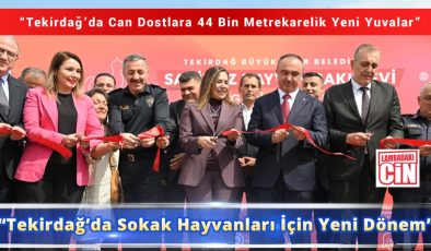 “Tekirdağ’da Sokak Hayvanları İçin Yeni Dönem”