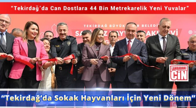 “Tekirdağ’da Sokak Hayvanları İçin Yeni Dönem”
