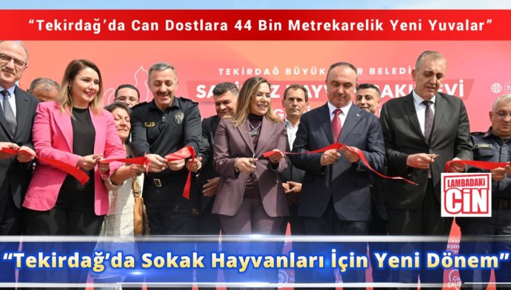 “Tekirdağ’da Sokak Hayvanları İçin Yeni Dönem”