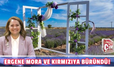 ERGENE MORA VE KIRMIZIYA BÜRÜNDÜ!