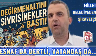 DEĞİRMENALTI SİVRİSİNEKLERE TESLİM!