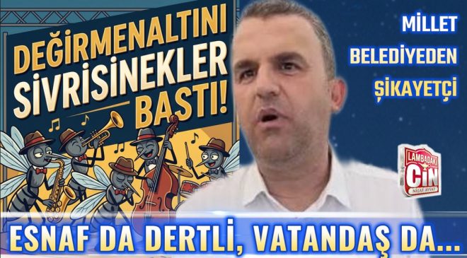 DEĞİRMENALTI SİVRİSİNEKLERE TESLİM!