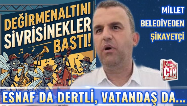 DEĞİRMENALTI SİVRİSİNEKLERE TESLİM!