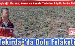 Tekirdağ’da Dolu Felaketi!