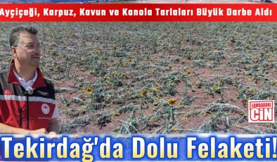 Tekirdağ’da Dolu Felaketi!
