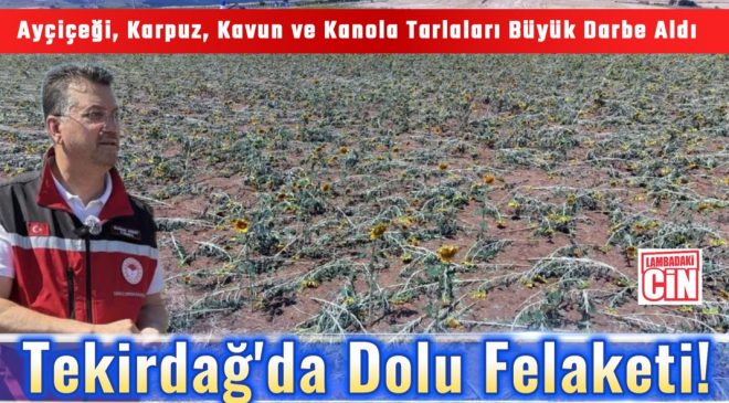 Tekirdağ’da Dolu Felaketi!