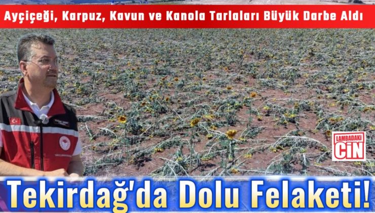 Tekirdağ’da Dolu Felaketi!