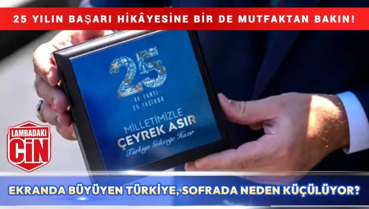 25 YILLIK BAŞARI SUNUMU, 10 YILLIK HAYAT GERÇEĞİ