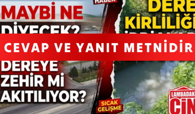 CEVAP VE YANIT METNİDİR